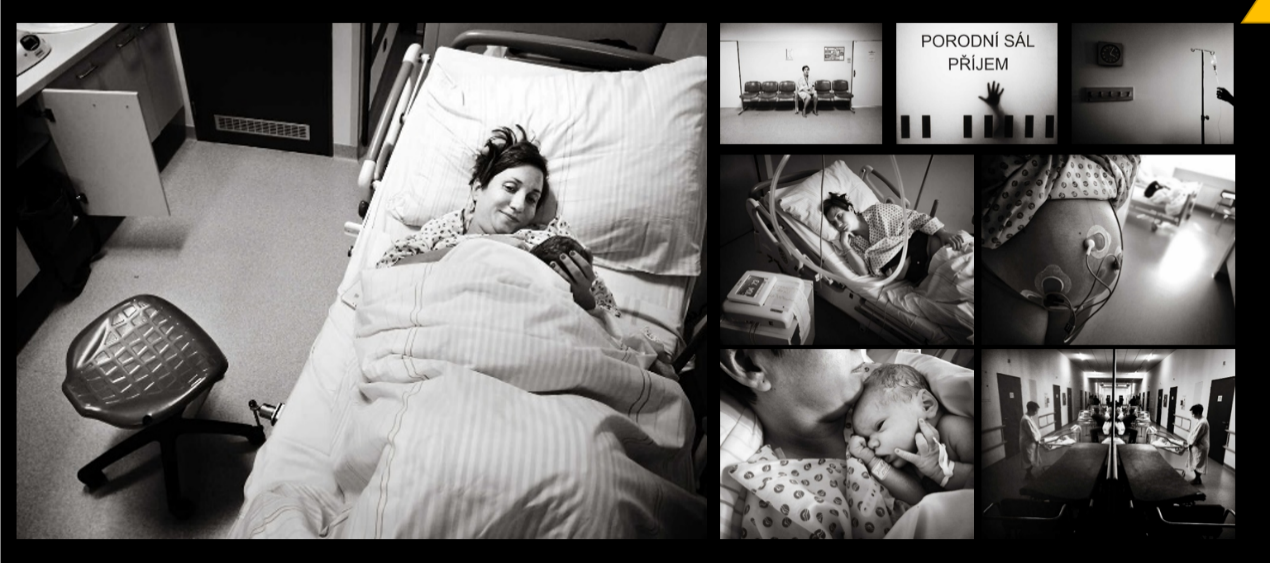 272759464 982397042396628 261765842511212394 n