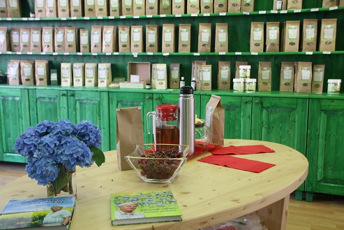 Naturoteka Plavica