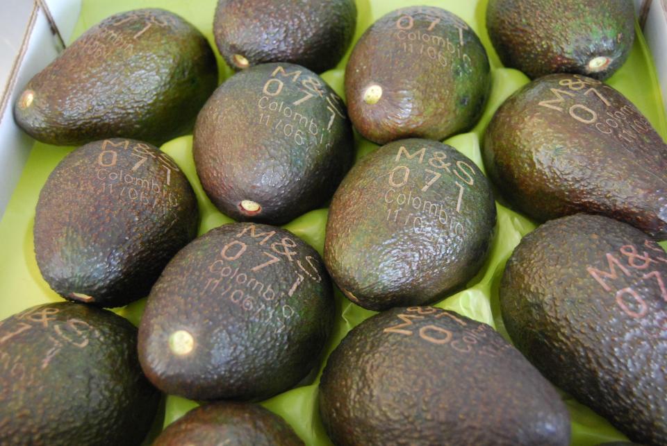 avokado2
