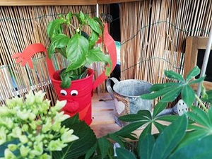 106030132 636126497248859 3547834306261671231 n