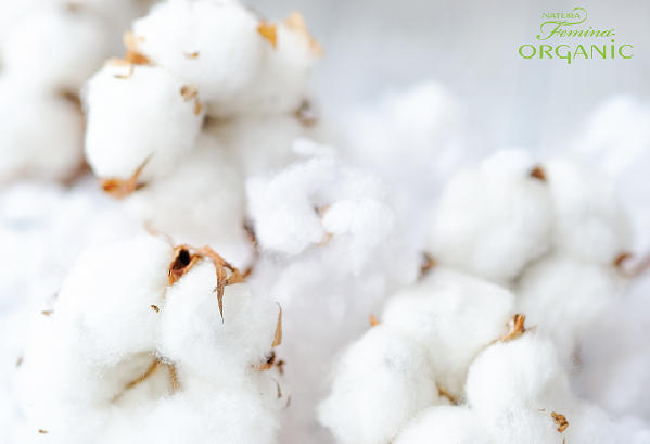 ozadje-2400-x-2000-pxl